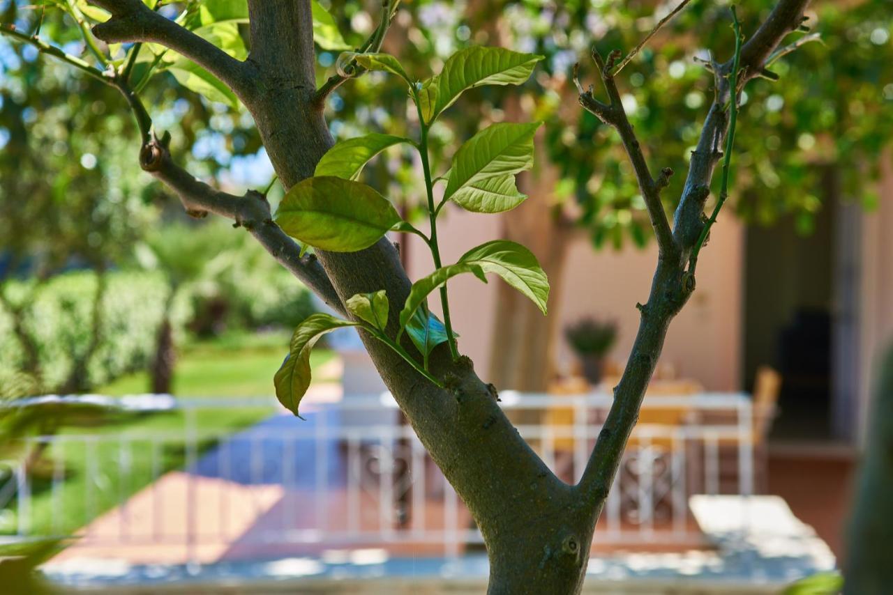 Villa Moma Palio Gerani 외부 사진